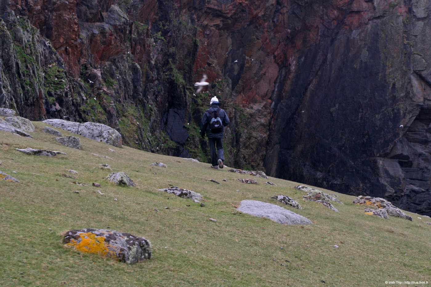 20090429_cronagan35