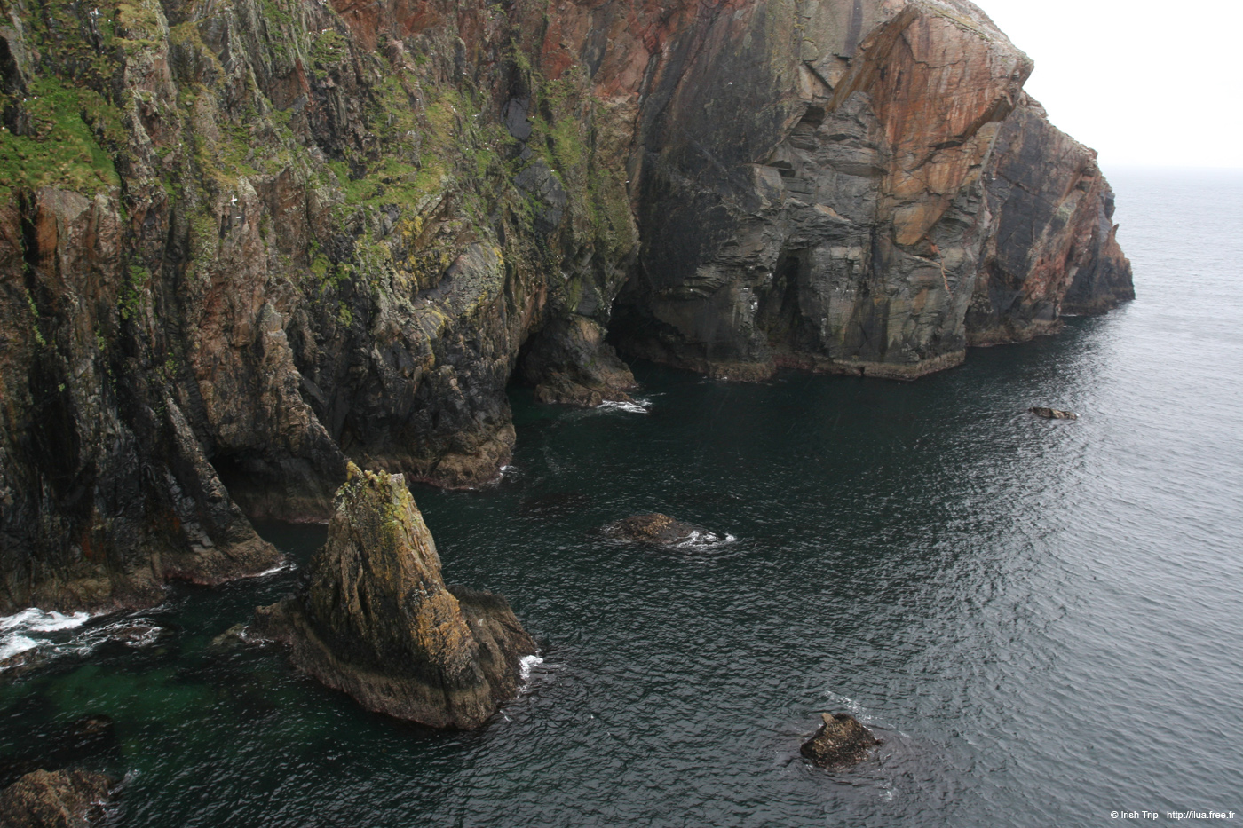 20090429_cronagan37