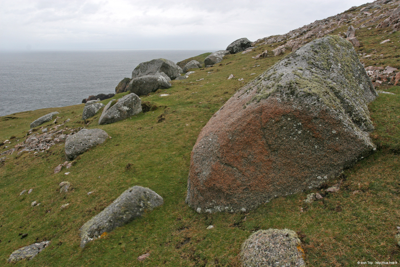 20090429_cronagan39