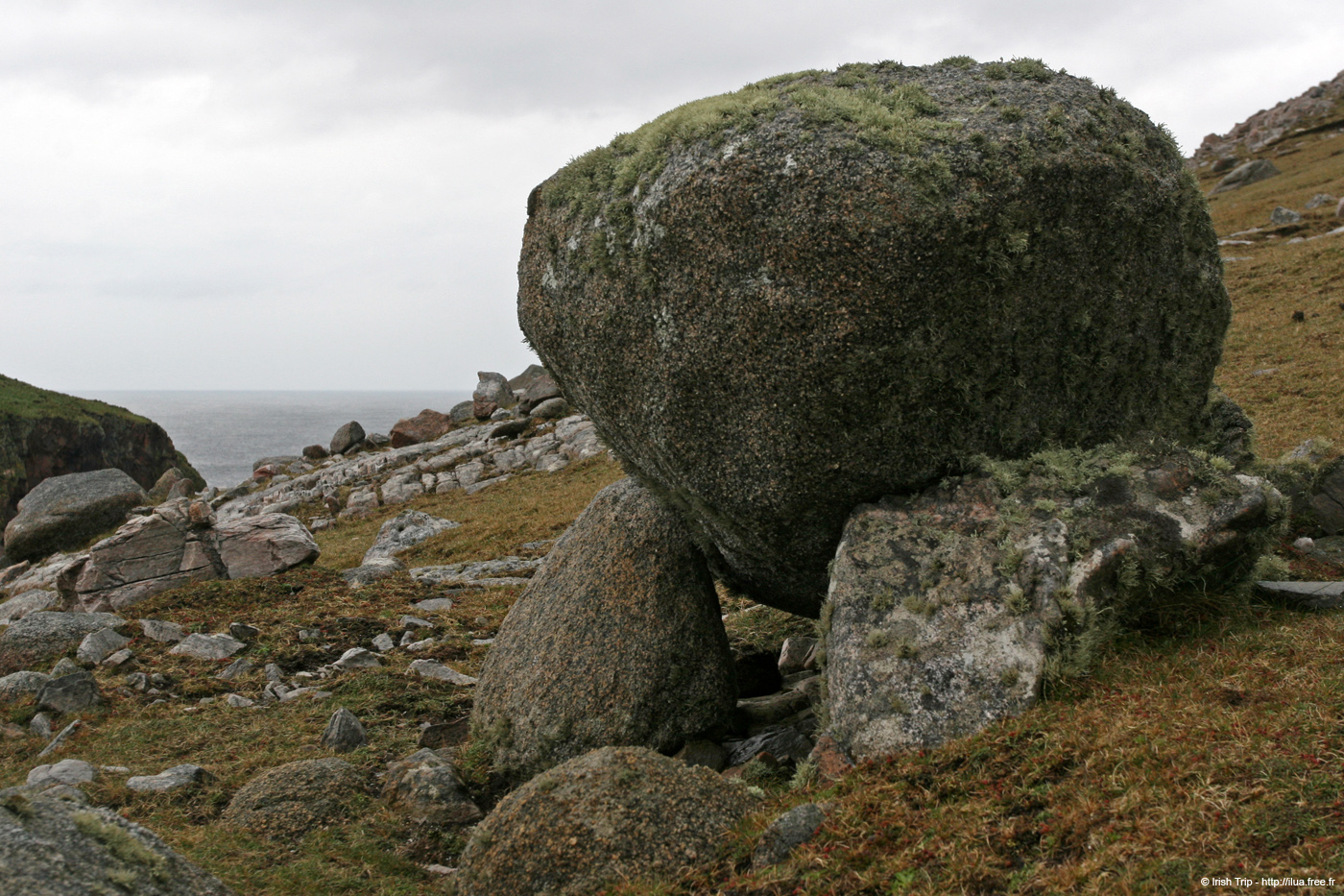 20090429_cronagan40