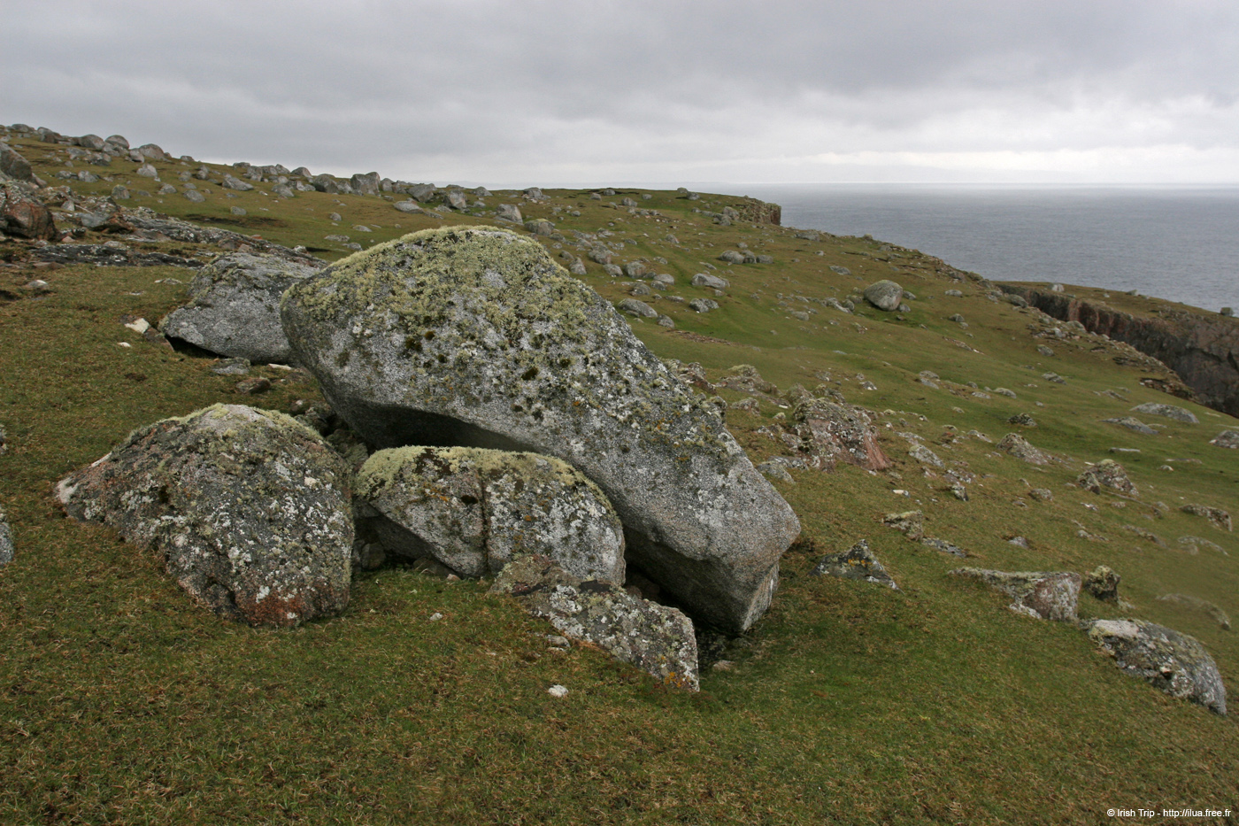 20090429_cronagan41