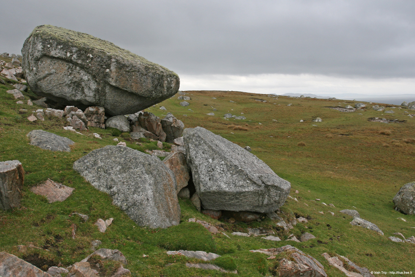 20090429_cronagan43