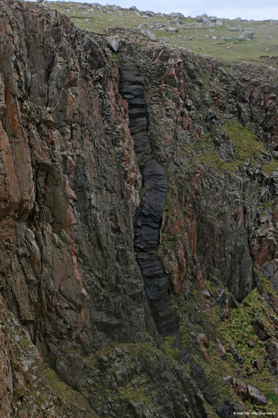 20090429_cronagan45