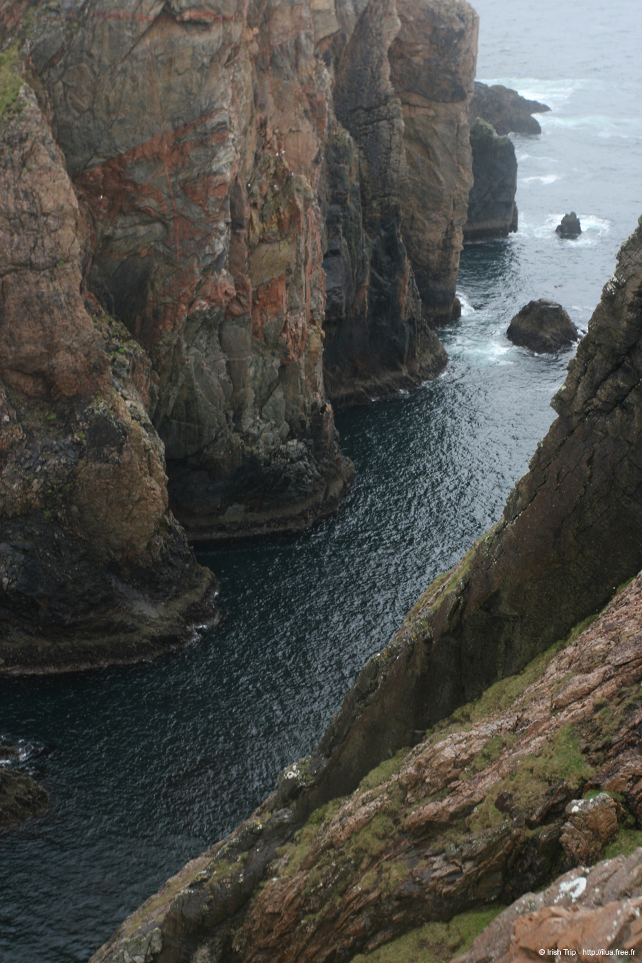 20090429_cronagan46