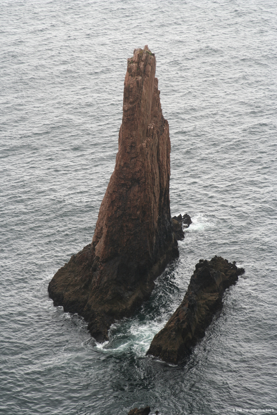20090429_cronagan49