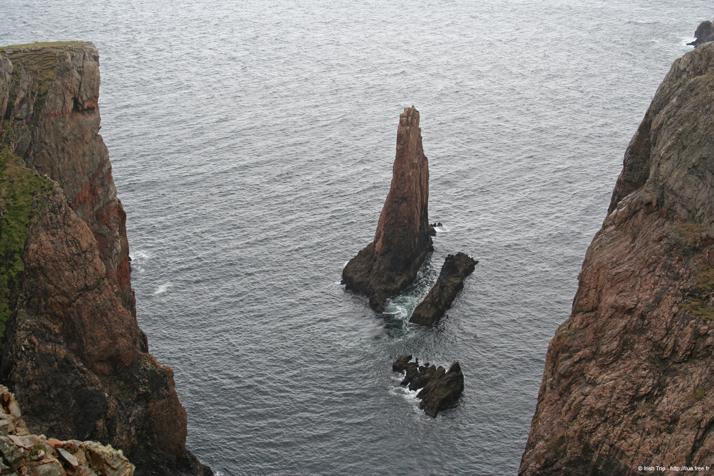 20090429_cronagan50