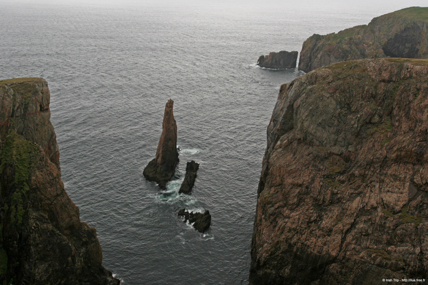 20090429_cronagan51