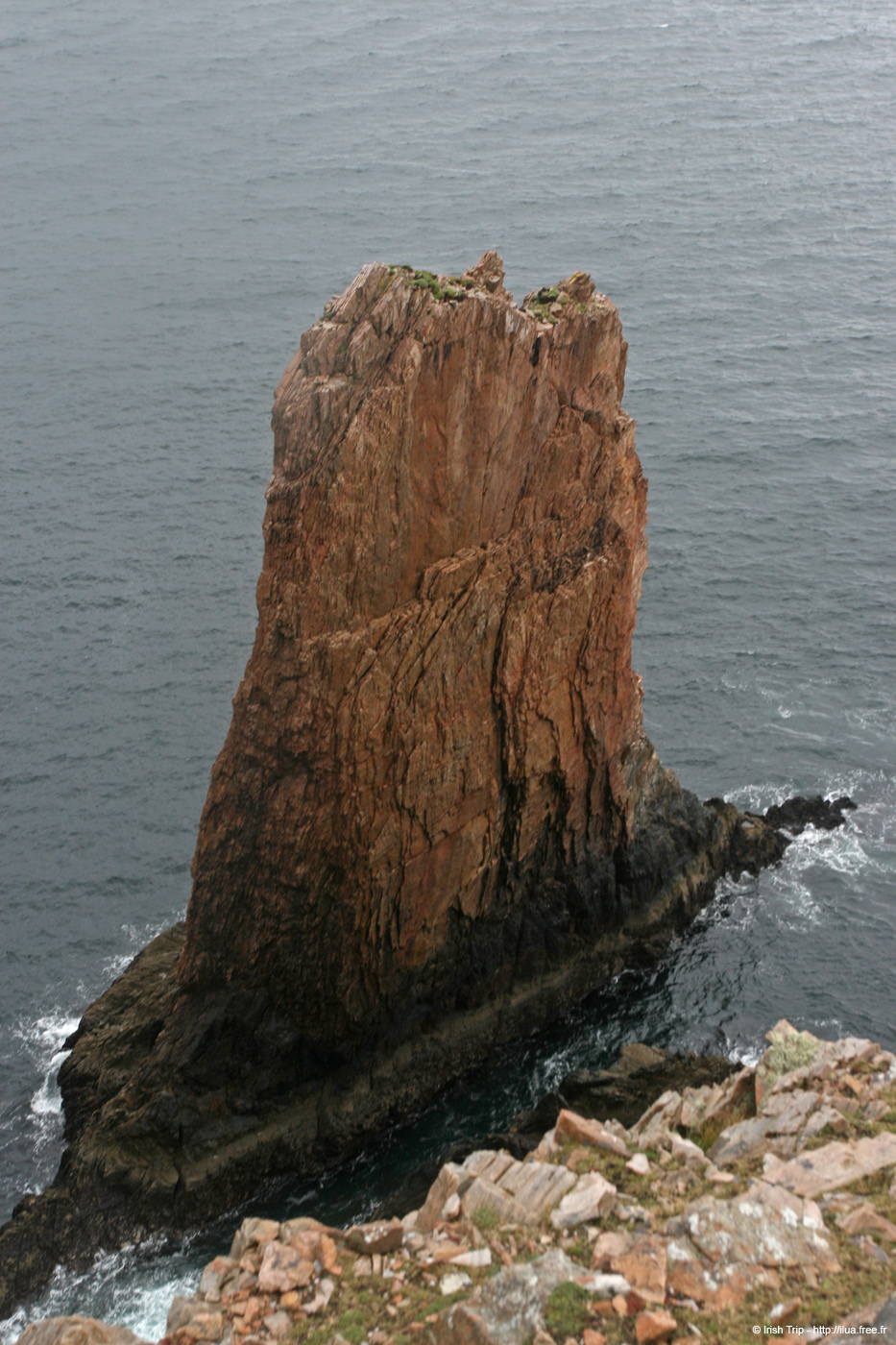 20090429_cronagan52