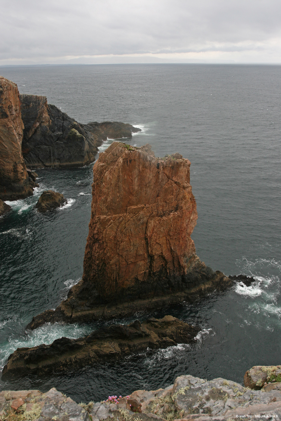 20090429_cronagan53