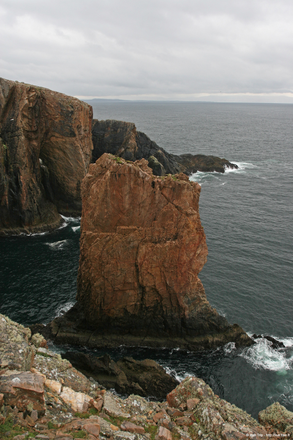 20090429_cronagan54