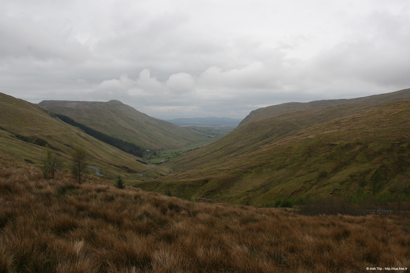 20090429_glengesh04
