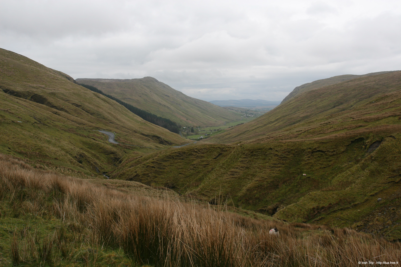 20090429_glengesh05