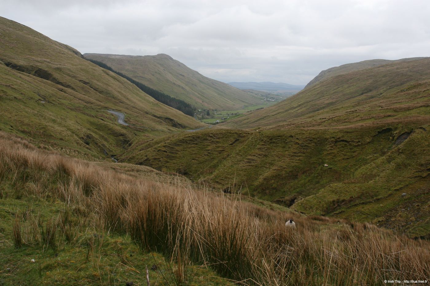 20090429_glengesh06