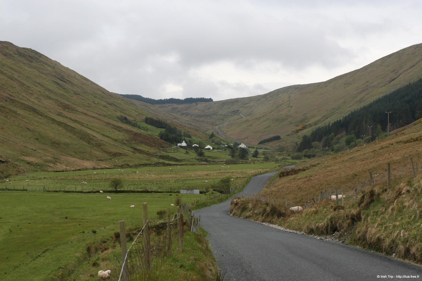 20090429_glengesh07