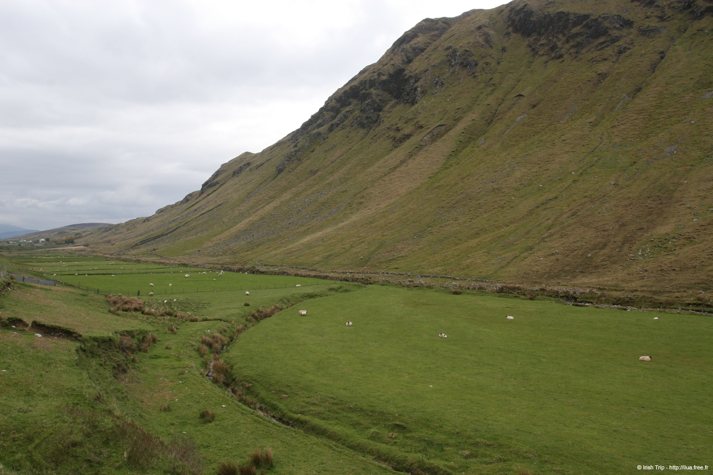 20090429_glengesh08