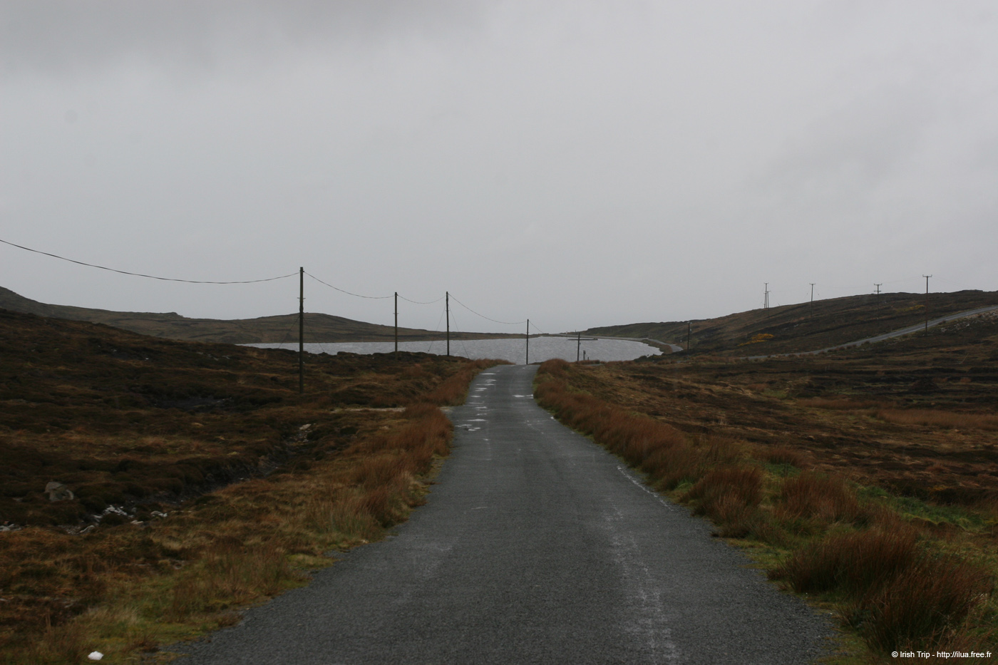 20090429_loughshore1