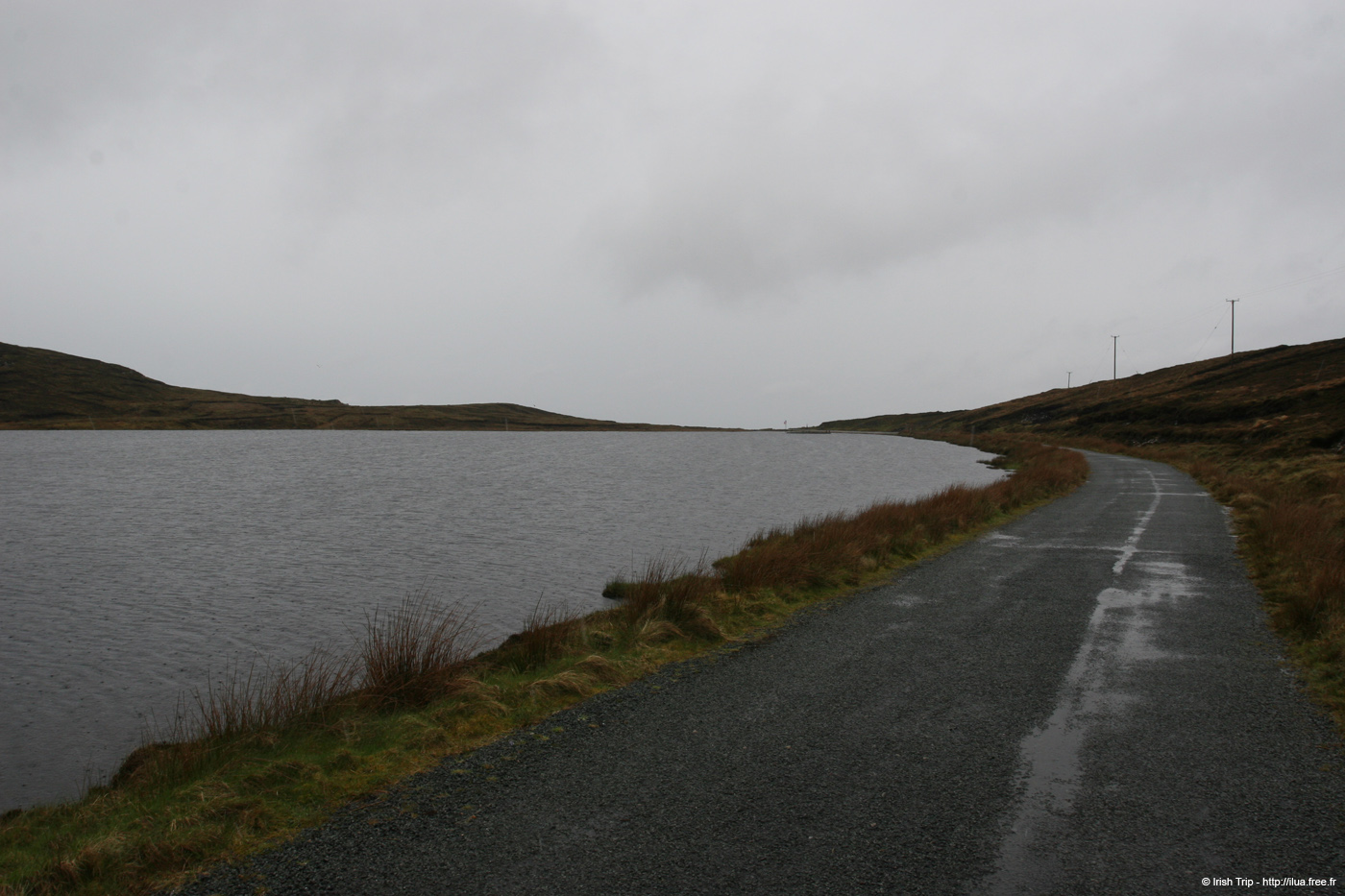 20090429_loughshore2