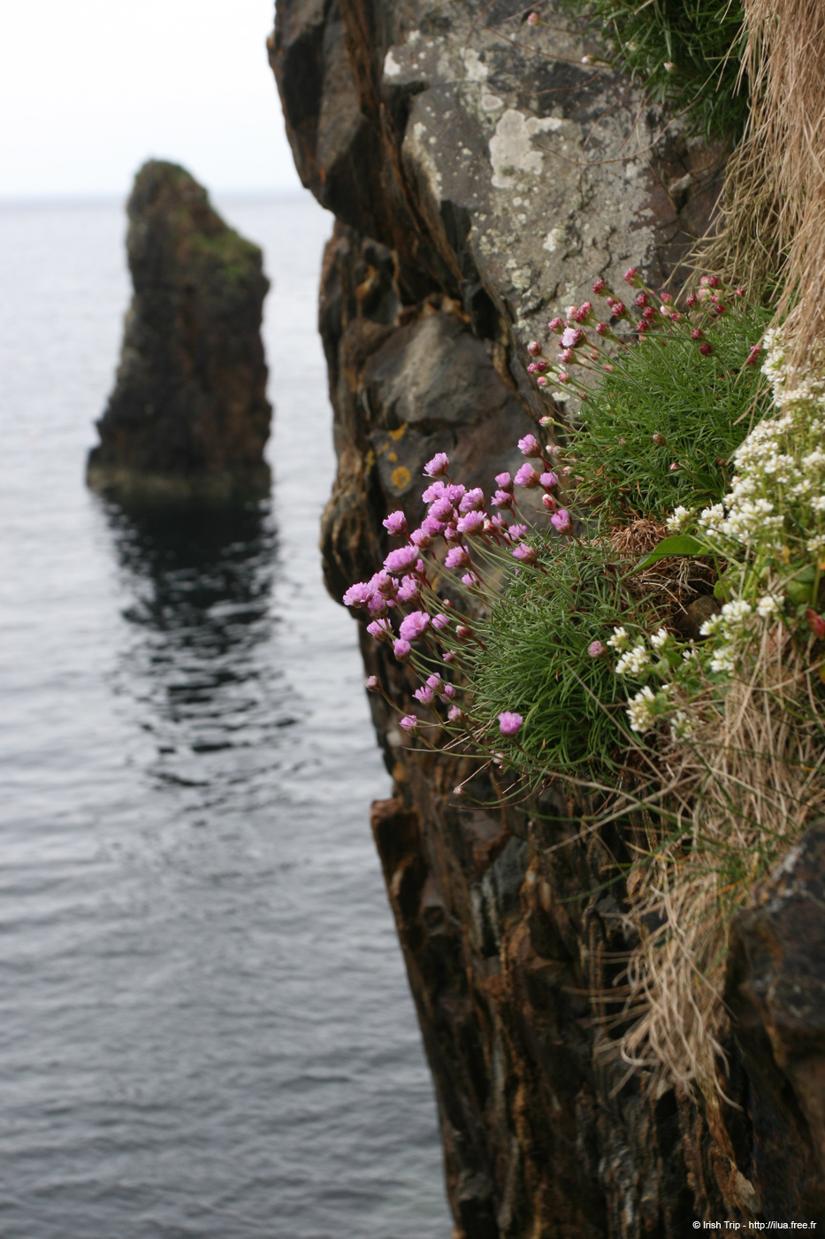 20090429_ougueportbay01