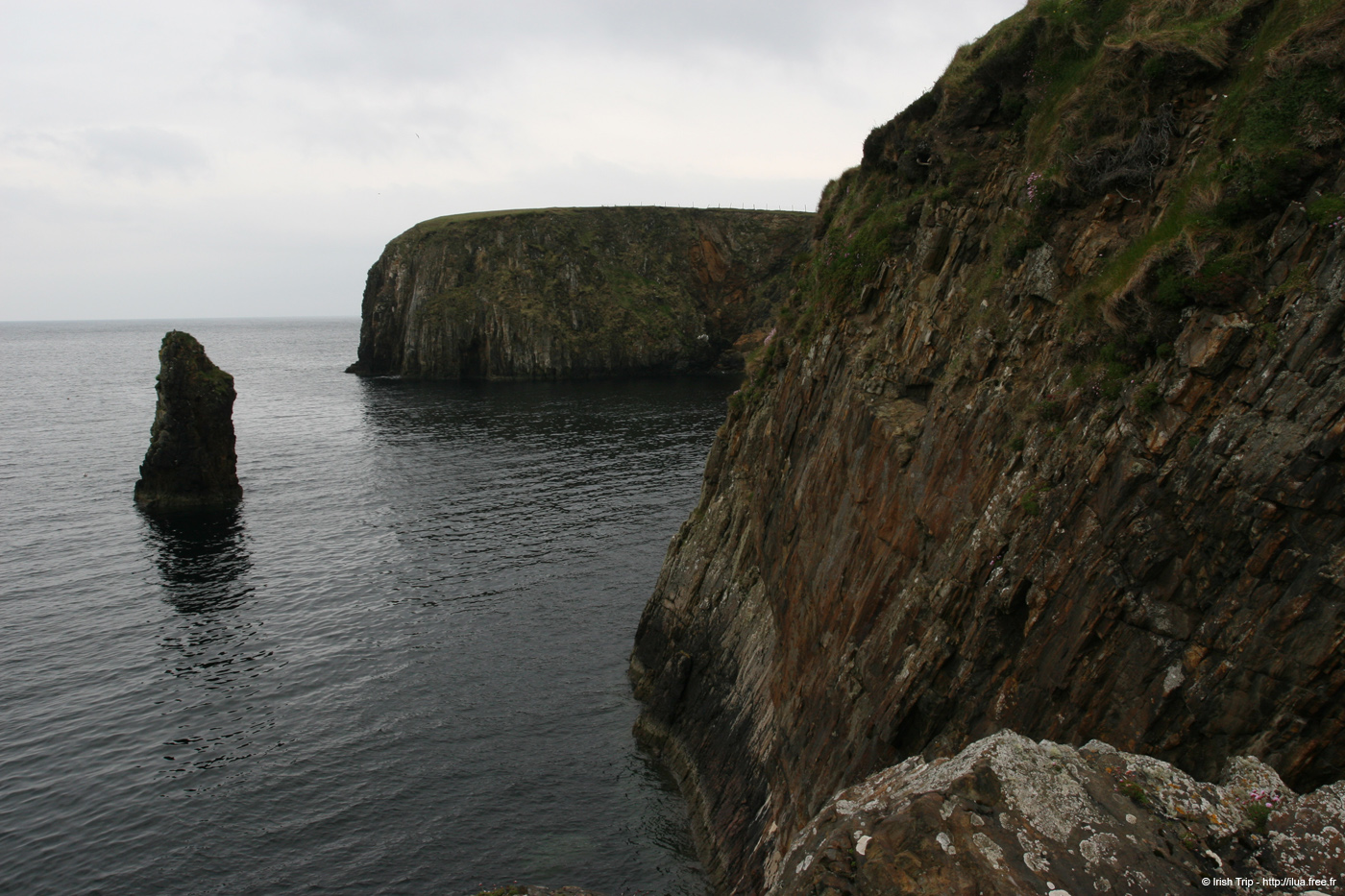 20090429_ougueportbay02