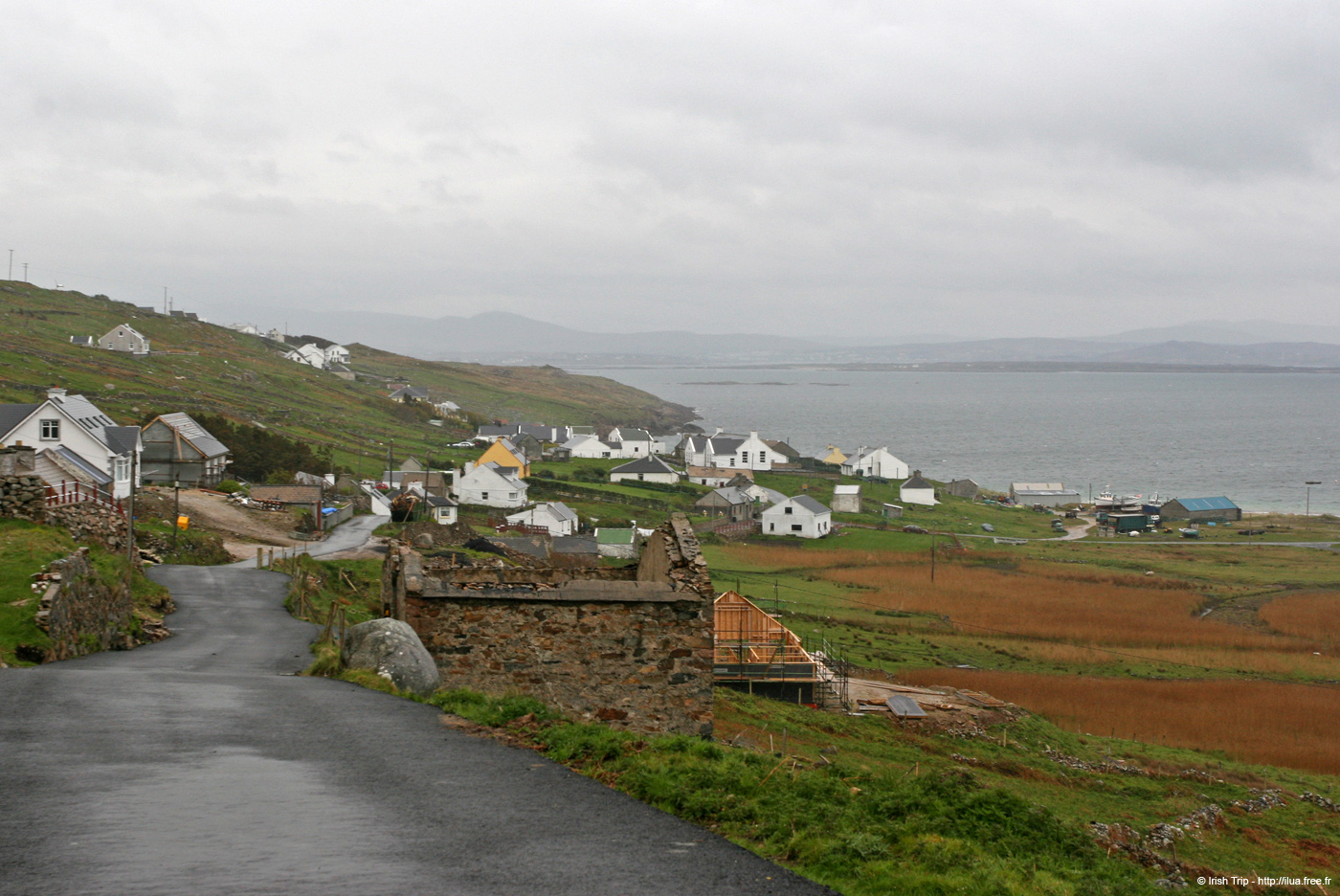 20090429_plughoge