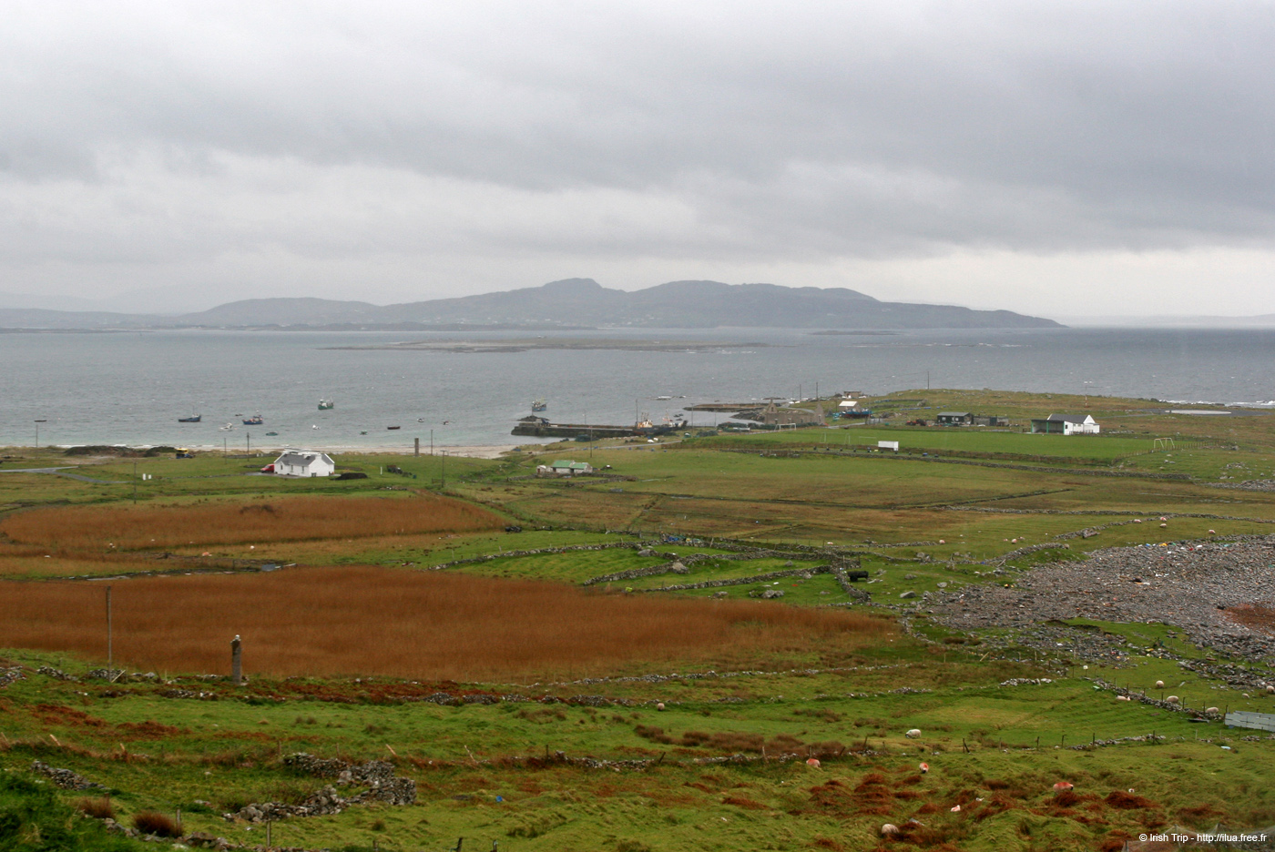 20090429_rannagh01
