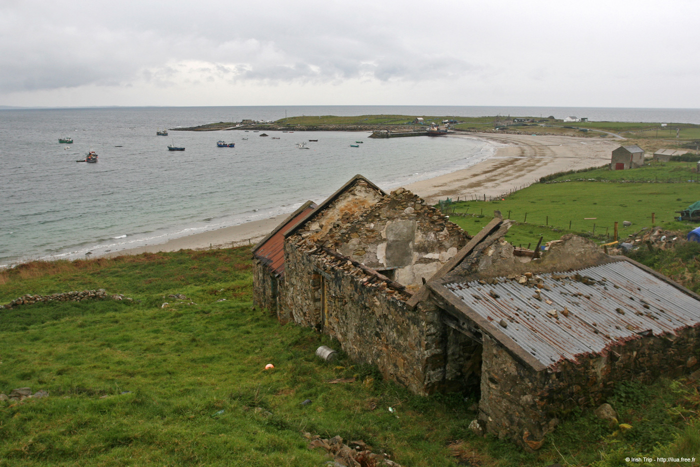 20090429_rannagh02
