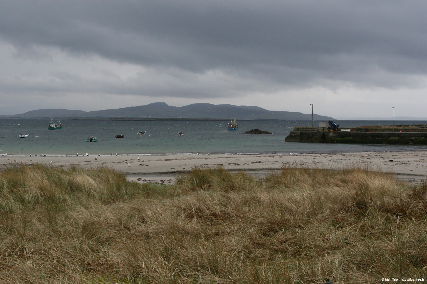 20090429_rannagh05