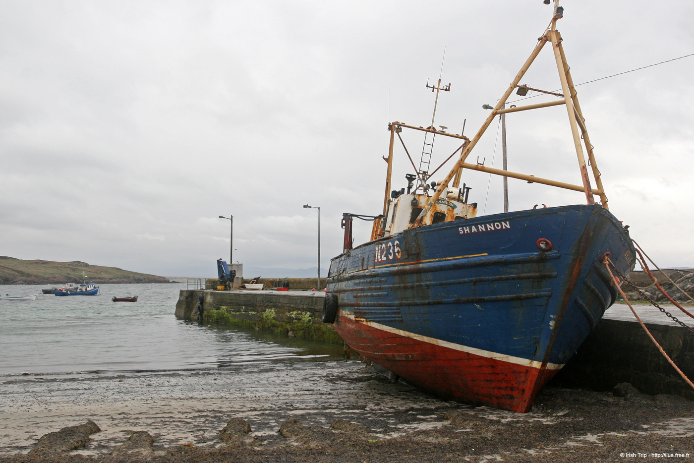 20090429_rannagh08