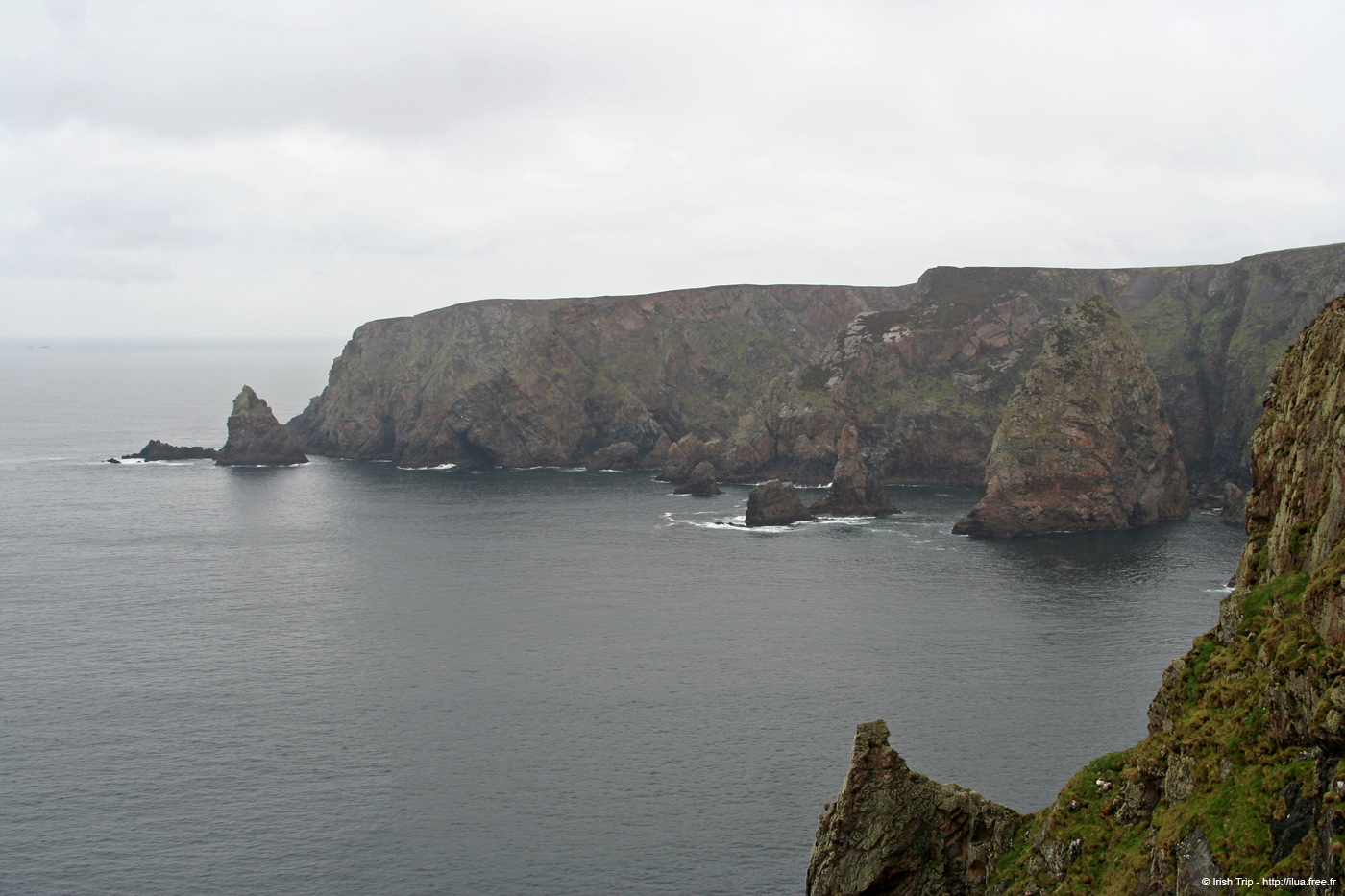 20090429_rinrawrosbay04