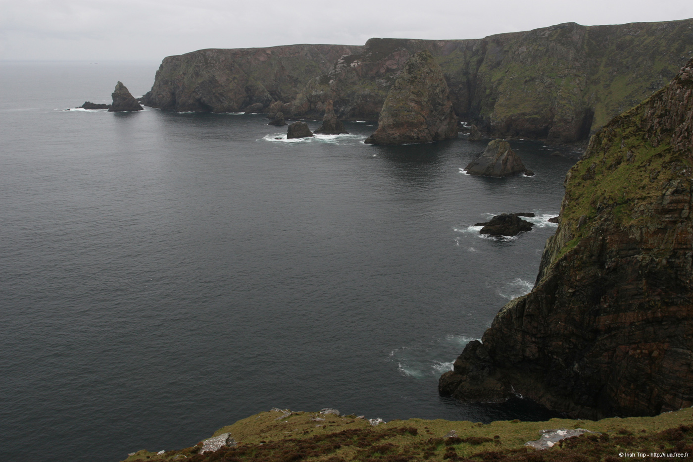 20090429_rinrawrosbay06