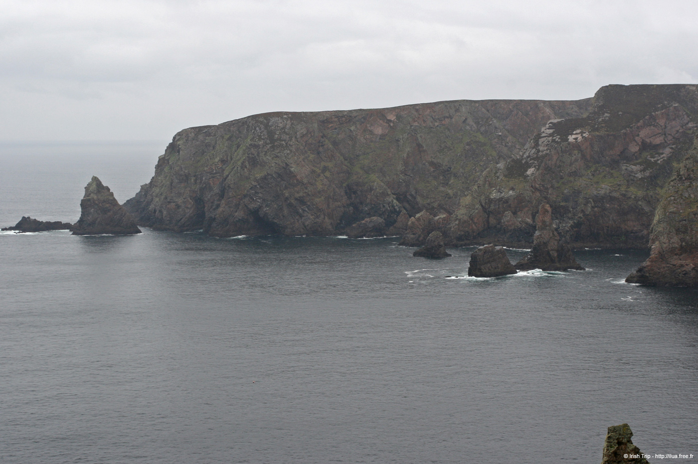 20090429_rinrawrosbay07