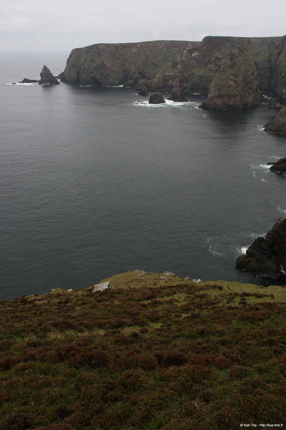 20090429_rinrawrosbay08
