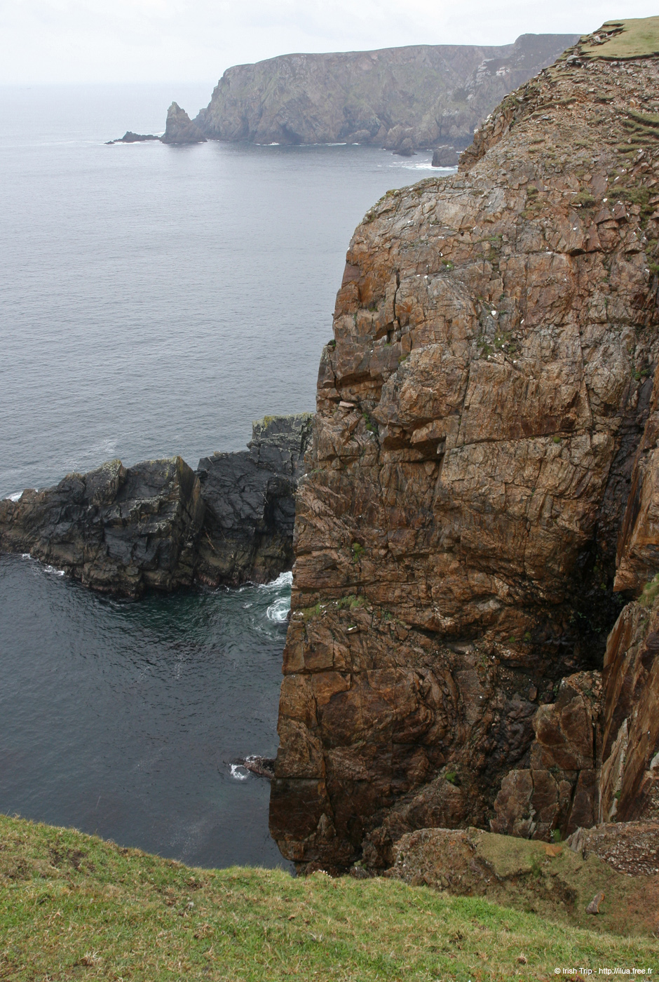 20090429_rinrawrosbay09