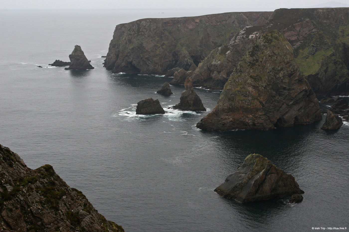 20090429_rinrawrosbay10