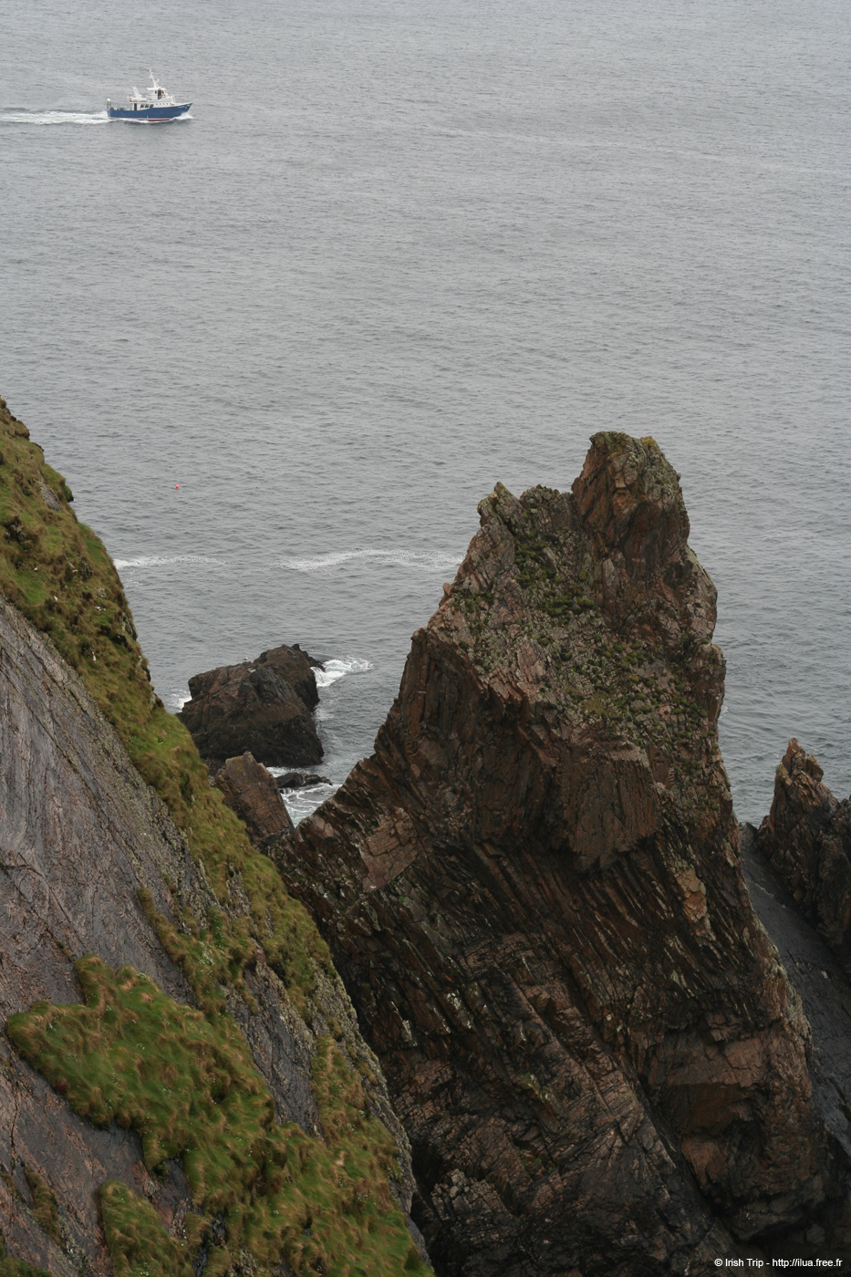 20090429_rinrawrosbay16