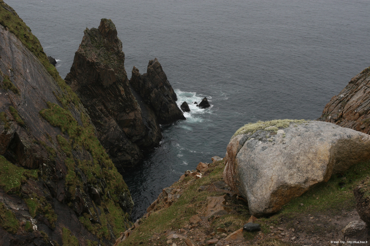 20090429_rinrawrosbay17