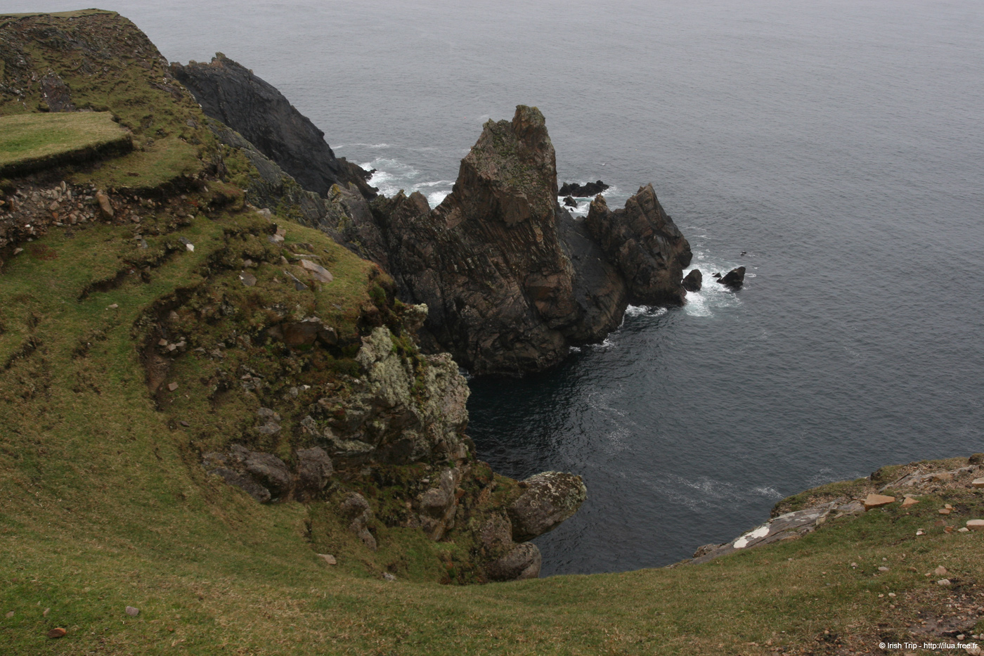 20090429_rinrawrosbay18