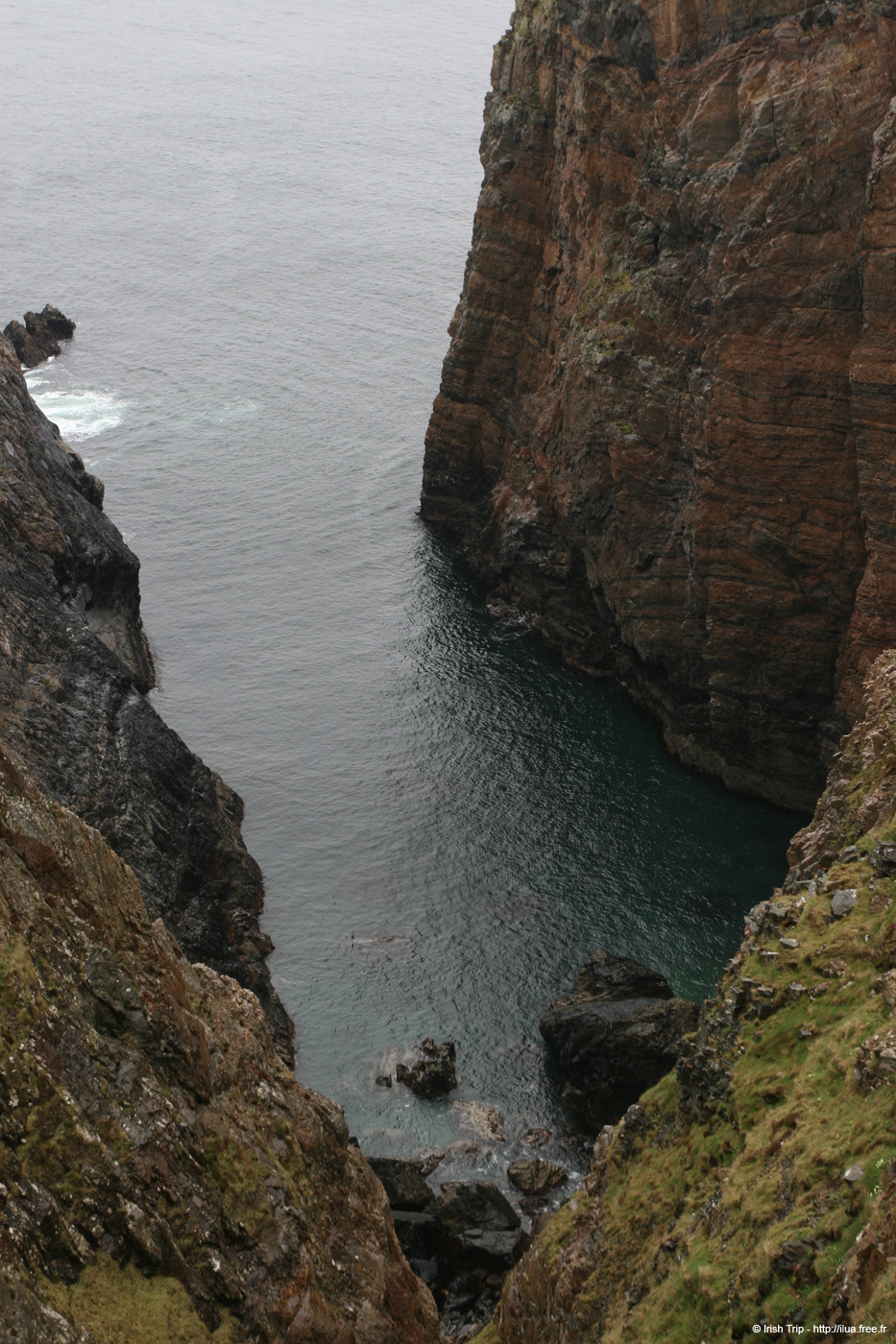 20090429_rinrawrosbay22