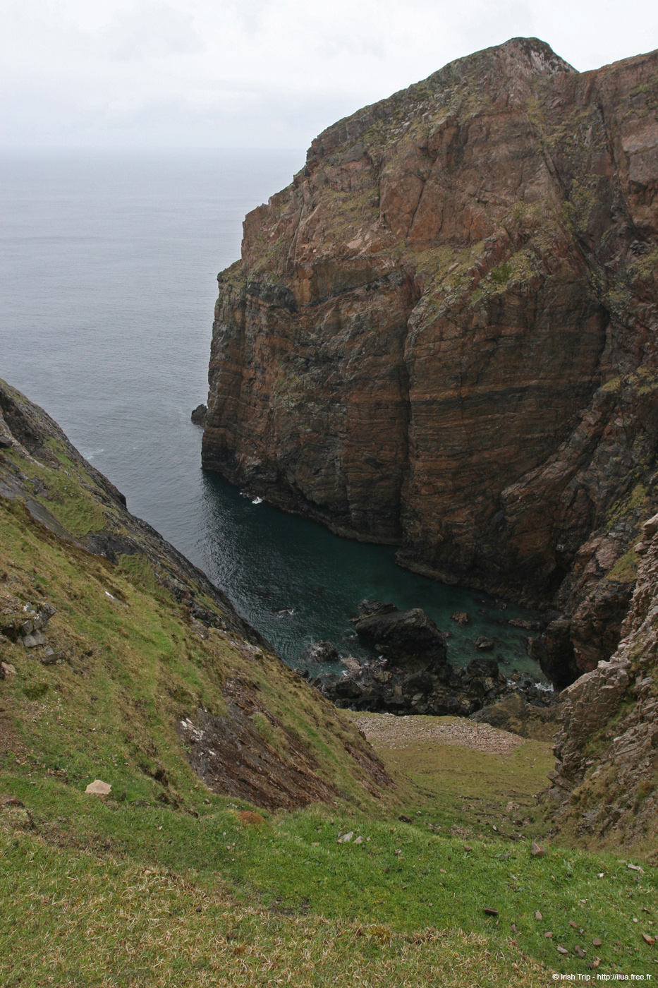 20090429_rinrawrosbay23