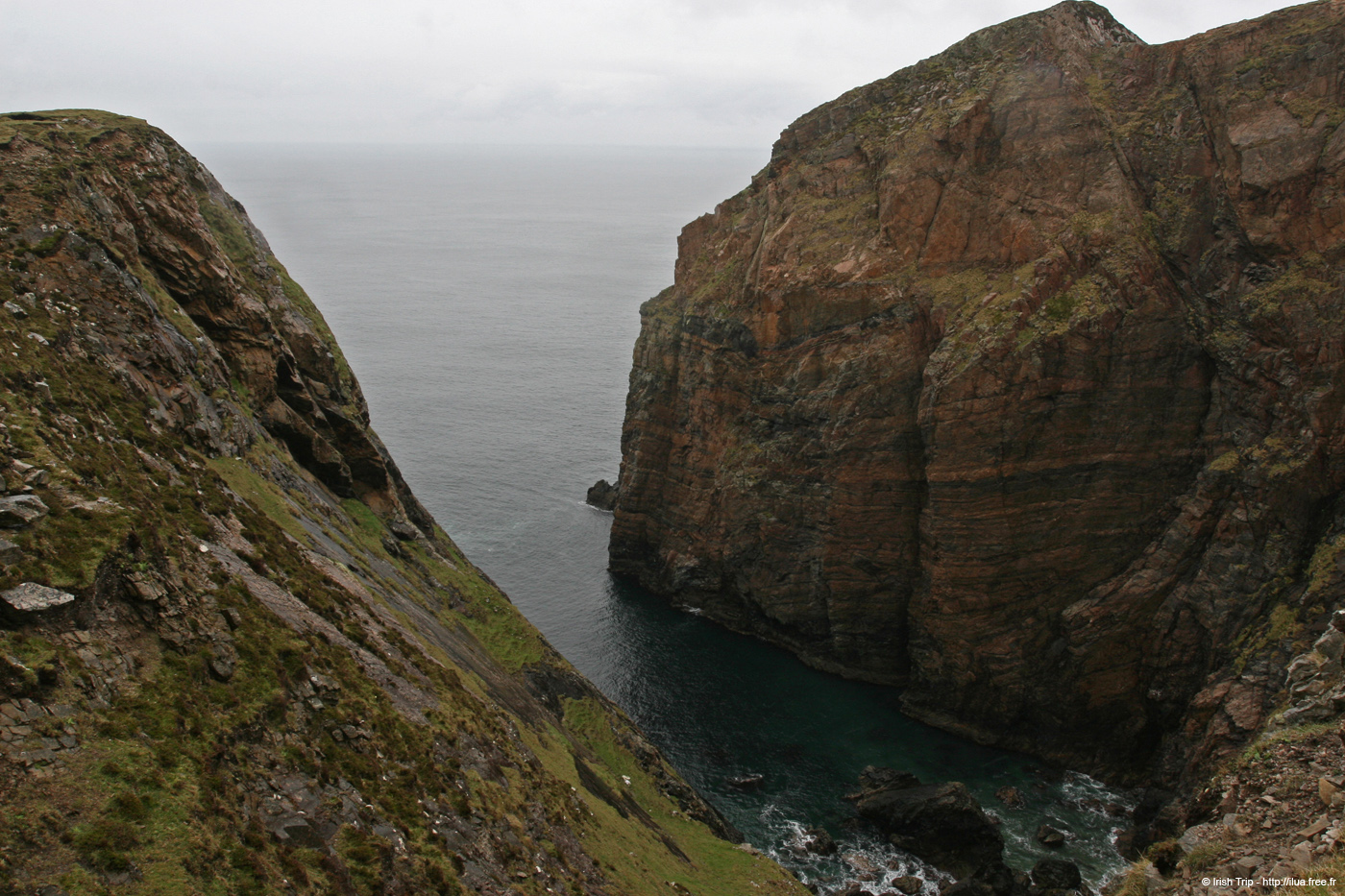 20090429_rinrawrosbay24
