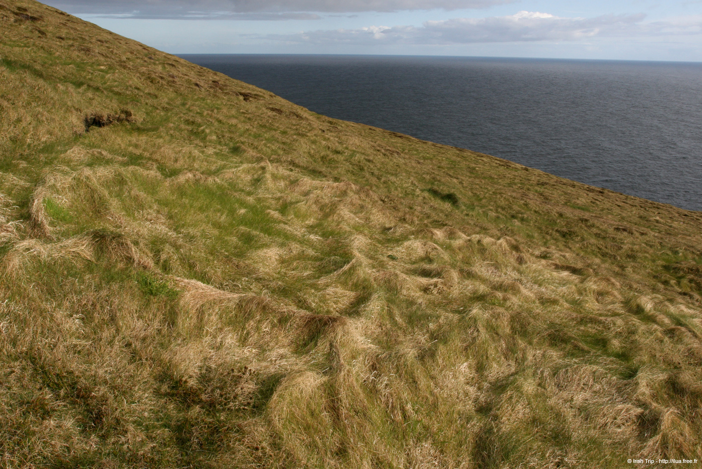 20090430_arannorthcoast09