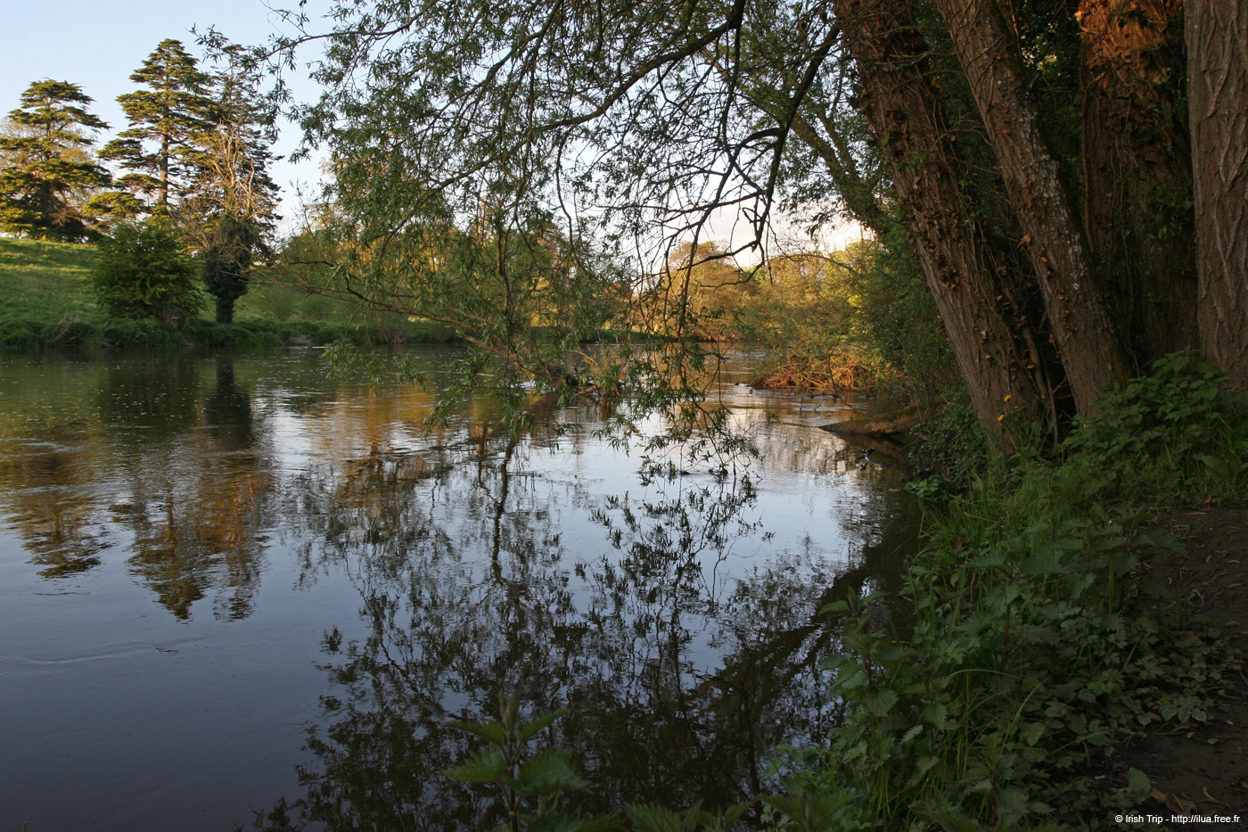 20090430_boyneriver2