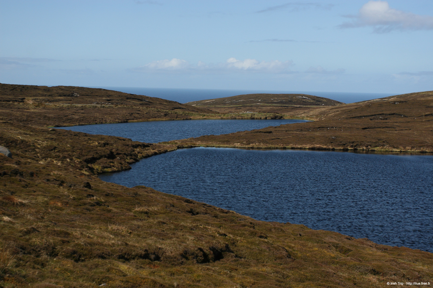 20090430_cluidanillerlough4