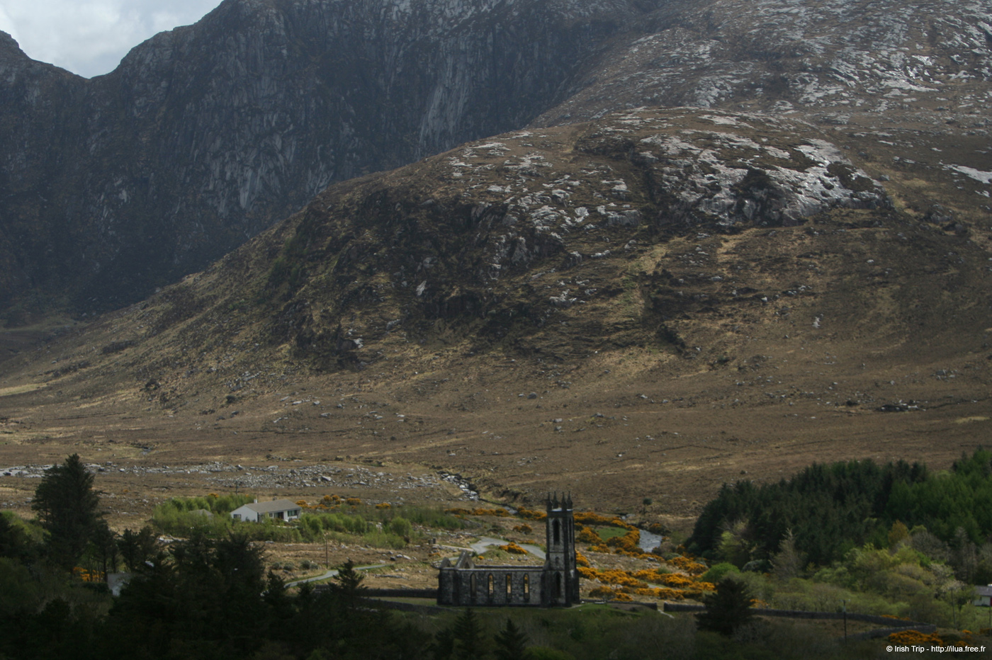 20090430_dunlewy3