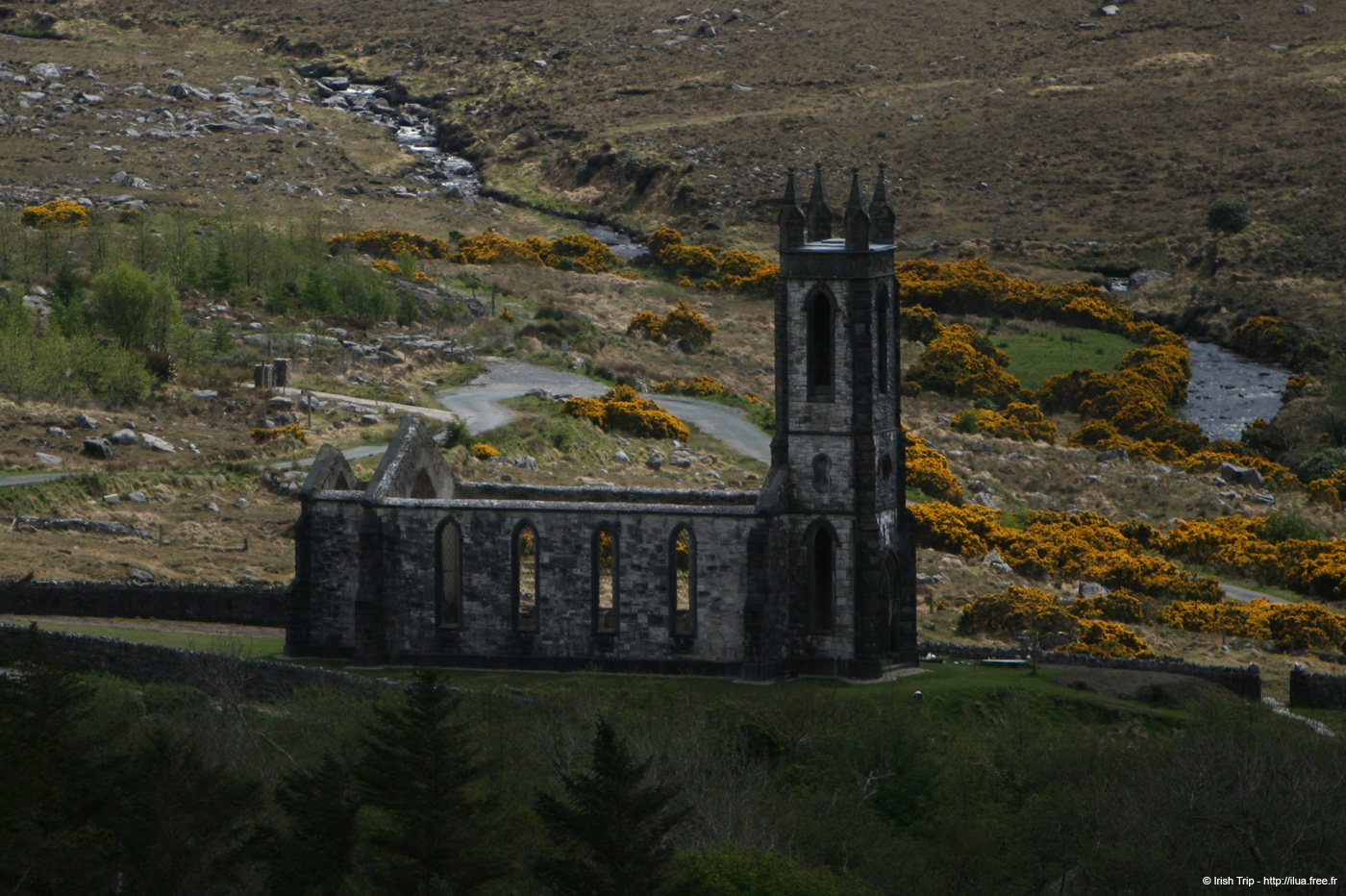 20090430_dunlewy4