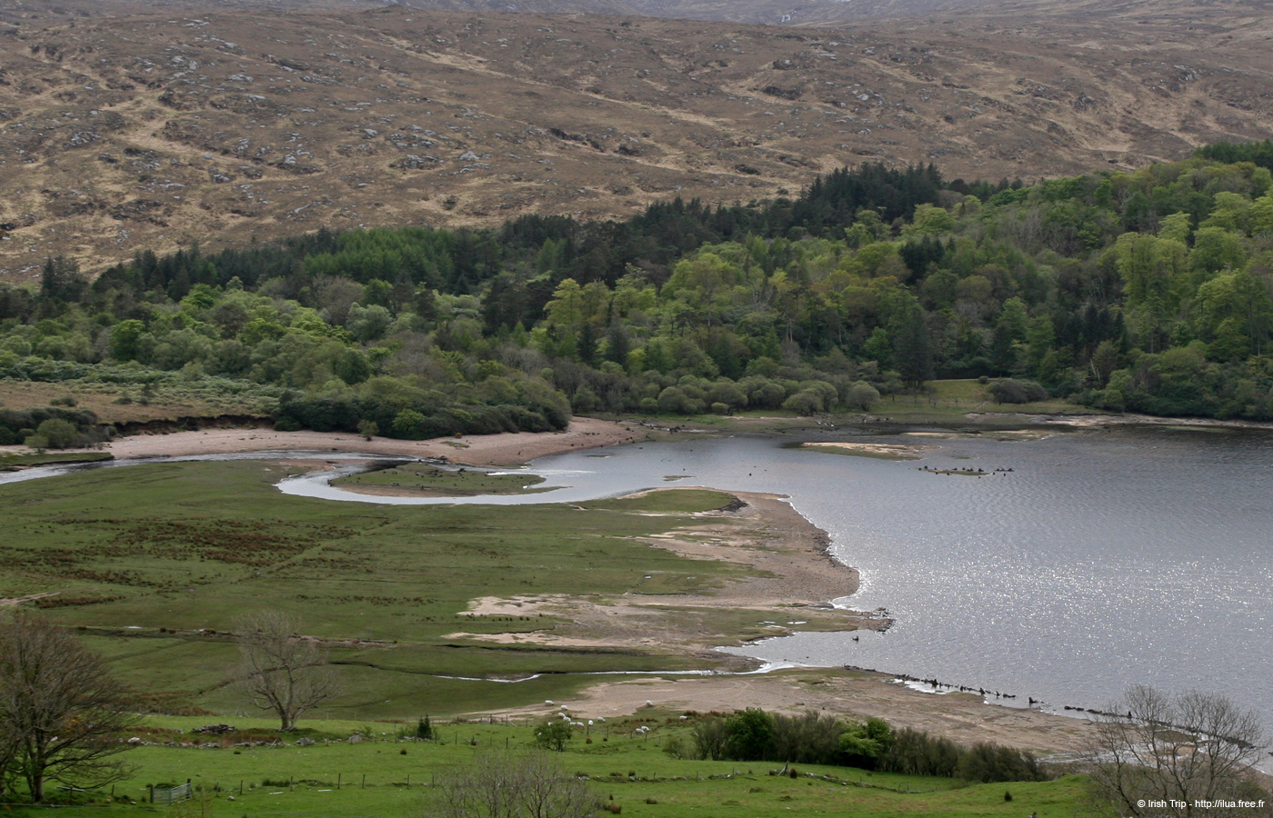20090430_dunlewy5
