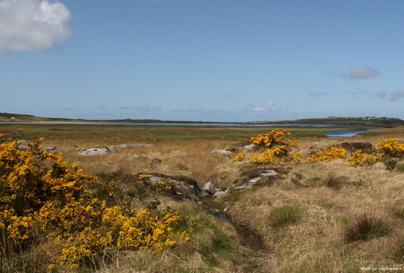 20090430_keadewstrand