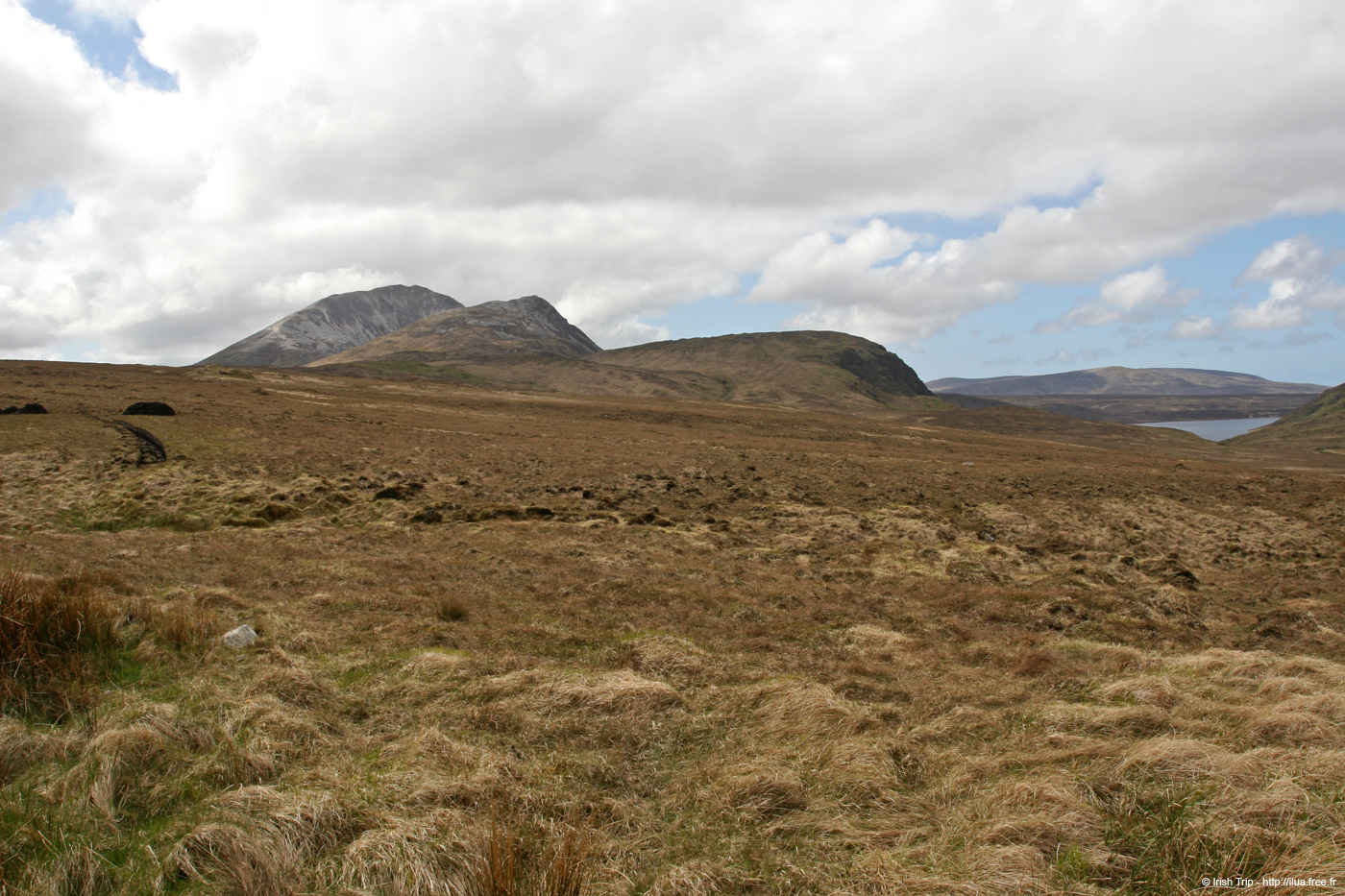 20090430_mterriganfromeast1