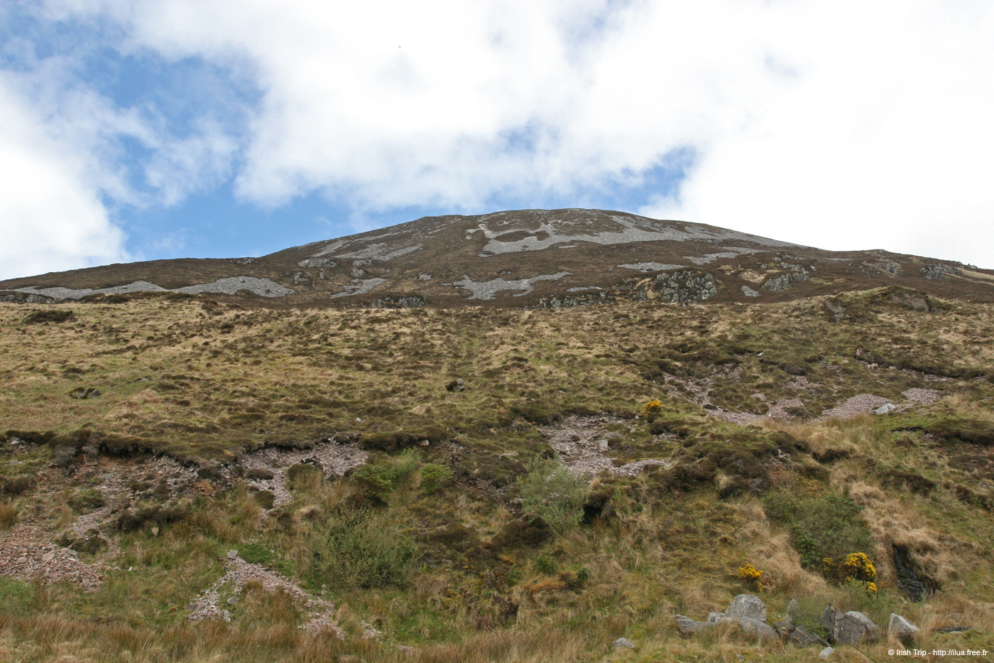 20090430_mterriganfromsouth