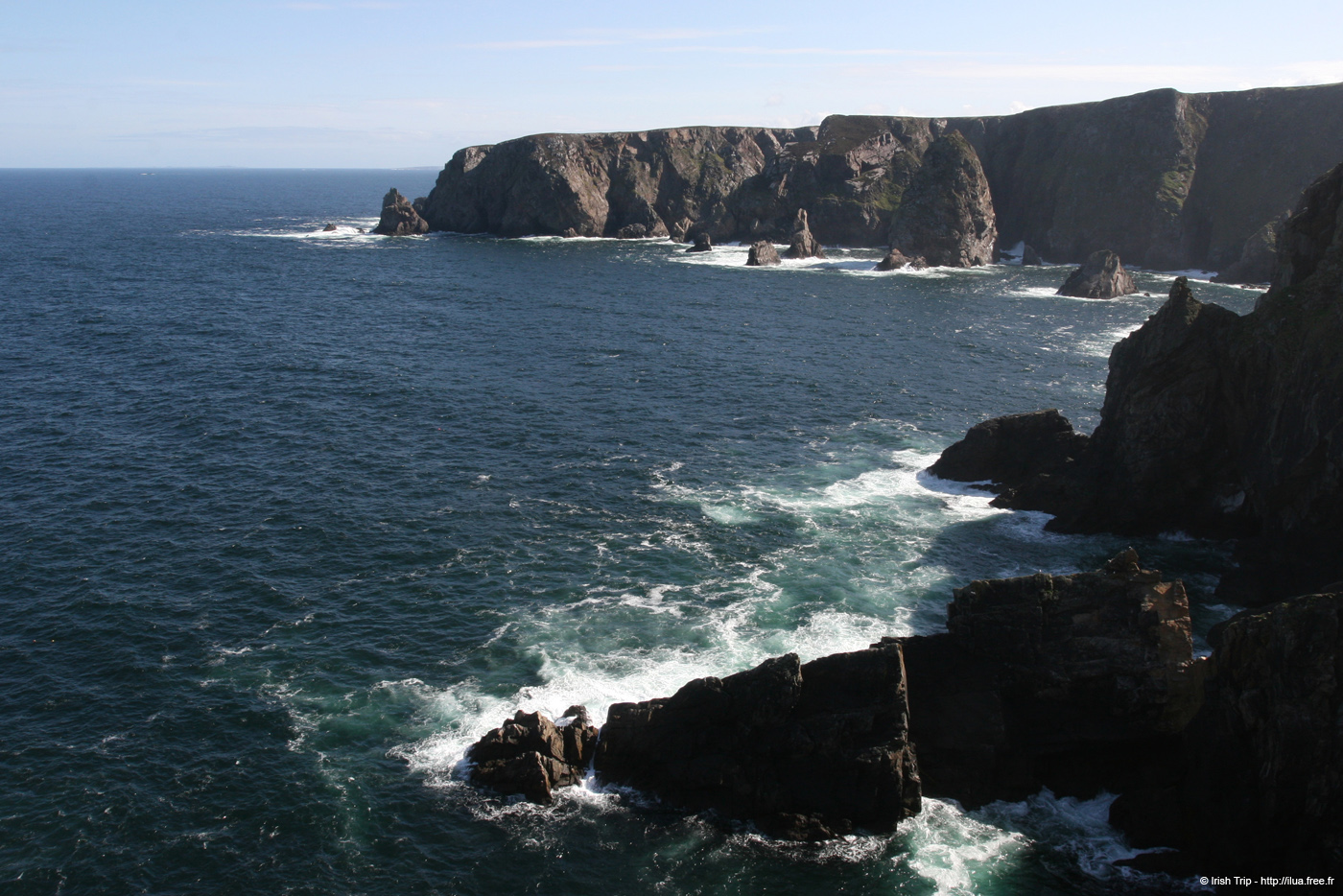 20090430_rinrawrosbay01